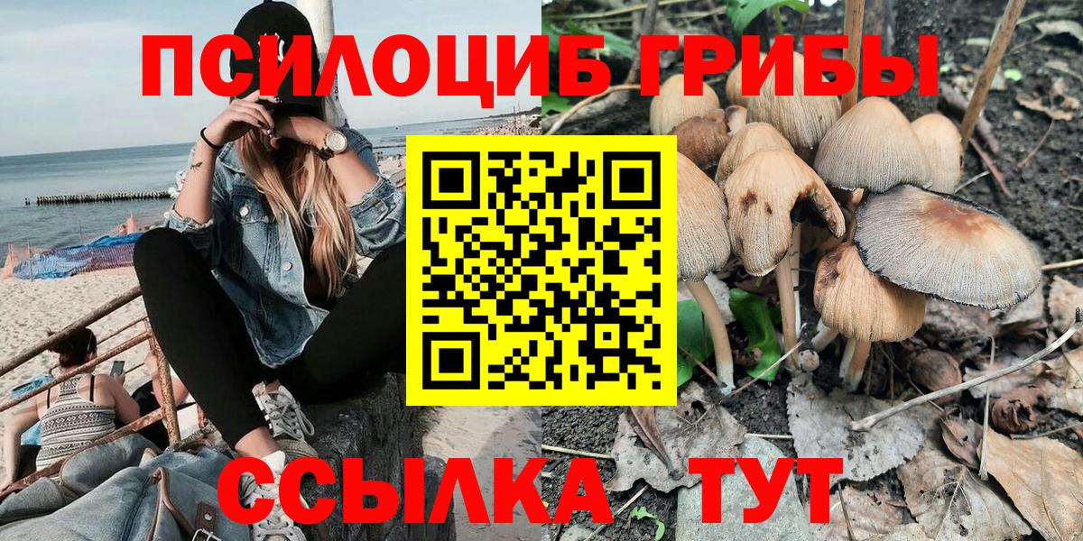 Галлюциногенные грибы Cubensis Изобильный