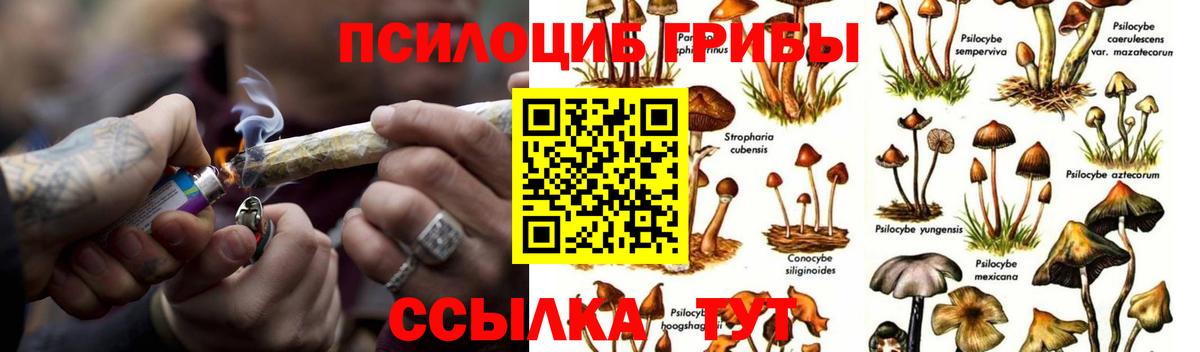 где можно купить наркотик  Вход с VPN  Изобильный  Галлюциногенные грибы GOLDEN TEACHER 